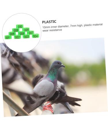 Amosfun 200 Pcs Pigeon Anklet Baby Things Baby Supplies Bird Ring Foot Ring for Pigeon to Open Xuan Feng 1.3X1.3CMx2pcs Greenx2pcs - Buy Online on GoSupps.com