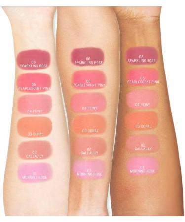 TINTARK Cheeky Blush Compact for Face Cheeks Talc Free Blusher Palette Matte Powder Makeup Natural Healthy Mauve Pink Magenta Peach Red Vegan Cruelty Free (01 MORNING ROSE) - Buy Online on GoSupps.com