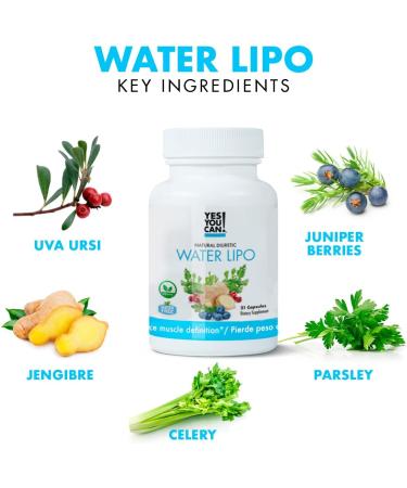 Yes You Can Natural Water Lipo Diuretic Cleanse - 21 Capsules | Gluten-Free with Electrolytes and Vitamins - Buy Online on GoSupps.com