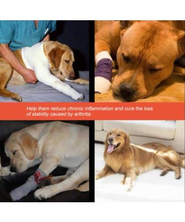 Pair of Dog Front Leg Brace - Canine Compression Wrap Protects Wounds Heal Support Due to Arthritis to Prevent Injuries(1 Pair SM) - Buy Online on GoSupps.com