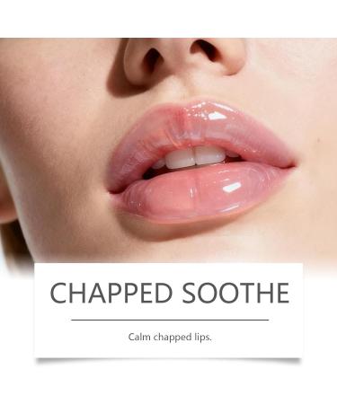 Gommage exfoliant pour les l vres 30 ml - Illumine et adoucit les l vres apaise la s cheresse renforce la barri re labiale contient de l'aloe vera non collant - Buy Online on GoSupps.com