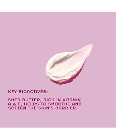 REN Clean Skincare Moroccan Rose Body Cream - Nourishing Vegan Lotion with Shea Butter | Cruelty-Free | 6.8 Fl Oz - International Shipping Available - Buy Online on GoSupps.com