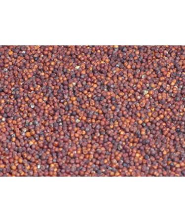 Vedica Organics Finger Millet: Certified Organic & Nutrient-Rich - Buy Online on GoSupps.com