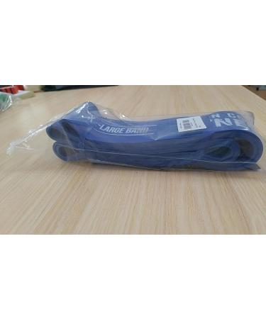 Iron Core Fitness Resistance Bands for Pull Up Assist - Strength Power Flexibility Training | Includes Ebooks & Workout Chart | #6 Blue - Buy Online on GoSupps.com