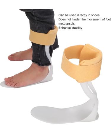 Ankle Foot Orthosis Support Foot Drop Brace Drop Foot Brace Drop Foot Brace Orthosis Ankle Brace Support Plantar Fasciitis Night Splint Orthopedic for Plantar Fasciitis(S-L) S L - Buy Online on GoSupps.com
