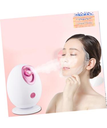 WOONEKY 1pc Face Steamer Sprayer Pore Cleaner Portable Humidifiers White and Face Steamer Egg Steamer - Buy Online on GoSupps.com