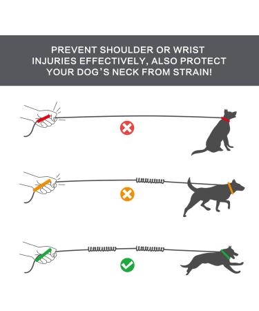 Pecute Dog Leash with Belly Belt - Jogging Leash for Large & Medium Dogs Elastic Running Leash with Belt Bag Supports Up to 110kg - Buy Online on GoSupps.com