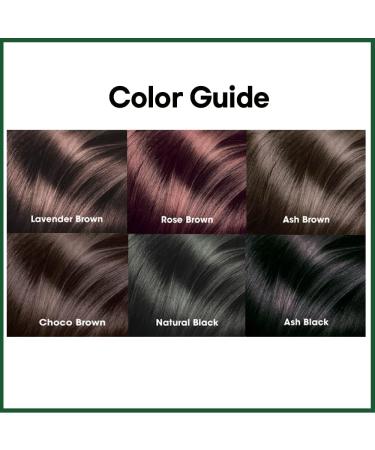 eZn Touch Vegan Permanent Hair Color Permanent Hair Dye Ammonia Free No THB No Triclosan No Phthalates No Gluten Vegan Cruelty Free up to 100% Gray Coverage (Ash Black) - Buy Online on GoSupps.com