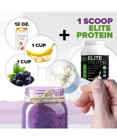 Organic Plant Based Vanilla Protein Powder - Muscle Recovery & Meal Replacement Shake - USDA Organic, Non-GMO, Dairy-Free - Vegan - 30 Servings, 2.64 lb - Buy Online on GoSupps.com