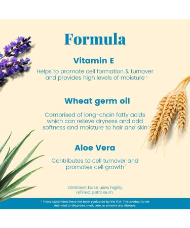 Basic Brands Vitamin E Ointment 2 oz - Original 2 Ounce (Pack of 1) - Buy Online on GoSupps.com