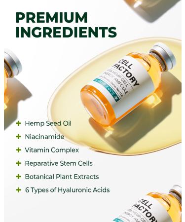 Glam Up x GD11 Hemp & Hyaluronic Acid Anti-Aging Serum 1.18 Fl Oz - Hydrating Brightening Facial Serum with Vitamin Stem Cells - Pack of 1 - Buy Online on GoSupps.com