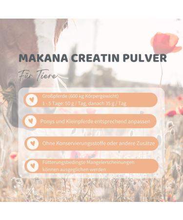 Makana Creatin Powder for Horses 1 kg box - Buy Online on GoSupps.com