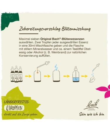  Bach BACHFLEUS White Chestnut Drops 20 ml - Buy Online on GoSupps.com