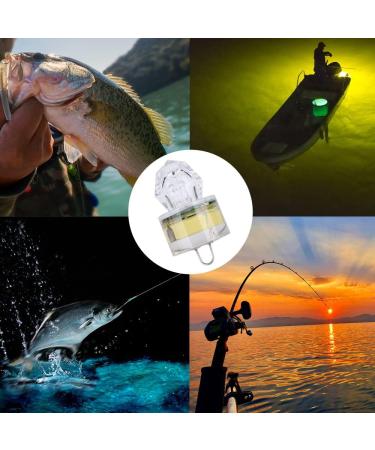 Rojuna 10 Pack Fishing Deep Drop Light LED - Colorful Flashing Strobe Lights for Underwater Fishing - Waterproof Diamond Lure for Saltwater and Freshwater Tuna - Buy Online on GoSupps.com