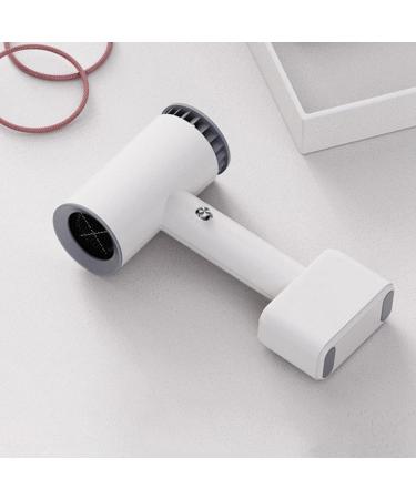 Menolana Free Stand Rechargeable Blow Dryer US Adapter 2 Gears Household Professional Portable Compact Powerful for Dormitory Home Art Painting Pet - Buy Online on GoSupps.com