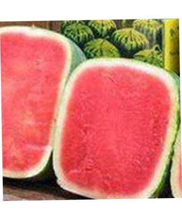 Uonlytech Fruit Vegetables Cucumber Molds for Garden Stair Basket Vegetable Molds Tool Forming Machine Pumpkin 15x15cm Transparent - Buy Online on GoSupps.com