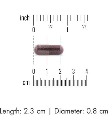 Dr. Mercola Organic Fermented Elderberry - 60 Tablets for Immune Support - Buy Online on GoSupps.com