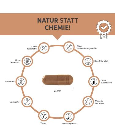 Bio Ceylon Cinnamon Capsules 500 - 1840mg Daily Dose | Premium Quality Low Coumarin No Additives - 100% Pure Raw Food  - Buy Online on GoSupps.com
