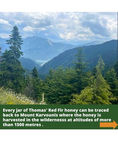 Thomas' Raw GREEK FIR HONEY ACTIVE 23 |Award Winner |Antibacterial Mountain Honey |Thick & Unpasteurised |Single Origin |The Raw Honey Shop |(490g) - Buy Online on GoSupps.com