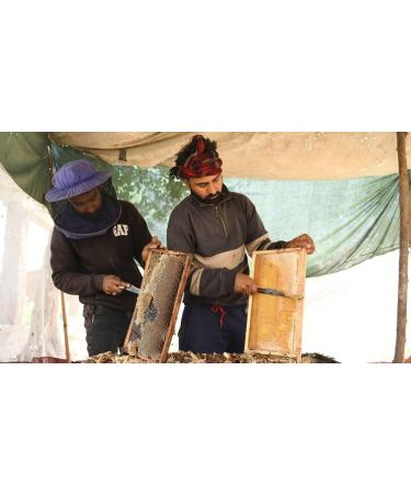 Egyptian Nigella Honey 300g Raw Product 100% Natural Habba Sawda Monofloral Honey Strengthens & Boosts Natural Defenses - Buy Online on GoSupps.com