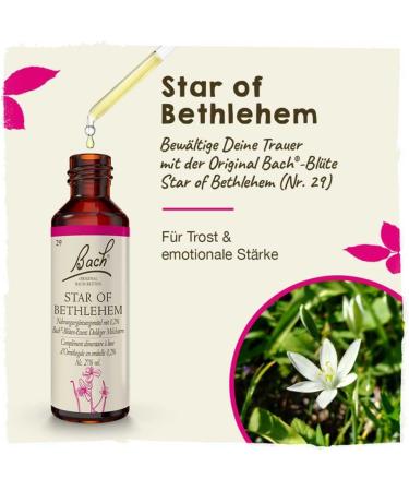 Buy BACH FLOWERS Star of Bethlehem Drops 20 ml - Natural Stress Relief - International Shipping Available - Buy Online on GoSupps.com