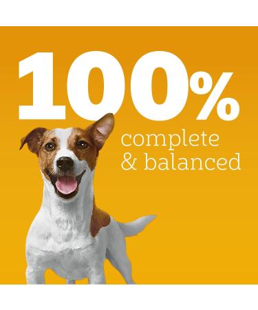 Pedigree Marrobites Adult Dry Dog Food Grilled Steak & Vegetable Flavour 13.6kg Bag - Buy Online on GoSupps.com