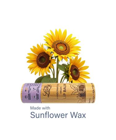 Luxiny Lip Balm in a Bamboo Tube Vegan Natural Moisturizing with Sunflower Wax and Vitamin E (Black Raspberry Vanilla) Black Raspberry Vanilla 1 Count (Pack of 1) - Buy Online on GoSupps.com