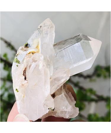 1PC Natural Clear Crystal Cluster Decoration Crystal Cluster (Size : 50-100g) - Buy Online on GoSupps.com