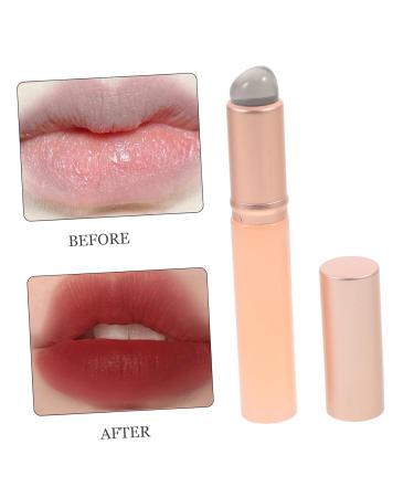 Buy Didiseaon 9 Pcs Lip Brush Set - Lip Mask Applicator & Makeup Beauty Tools for Flawless Lip Application | Pink Lipstick & Gloss Wands - Buy Online on GoSupps.com