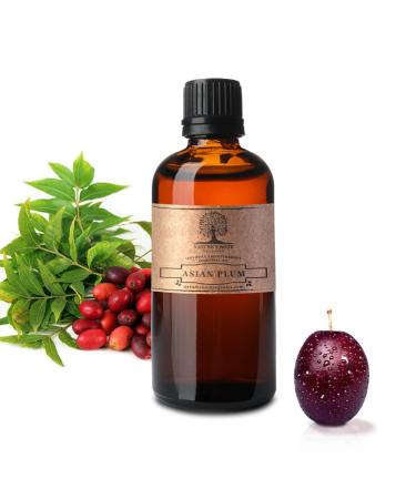 Asian Plum Essential Oil - 100% Pure Aromatherapy Grade Essential Oil by Nature's Note Organics - 0.3 Fl Oz 1 Fl Oz (Pack of 1)