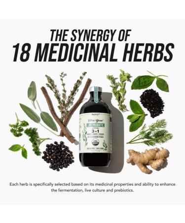 Auivty Flora Biome Live Probiotic Liquid 3-in-1 Probiotic + Prebiotic + Postbiotic 30 Billion CFU (at Time of Manufacture) 10 Strains Fermented Herbal Blend with 18 Herbs Shelf Stable 16 fl oz - Buy Online on GoSupps.com