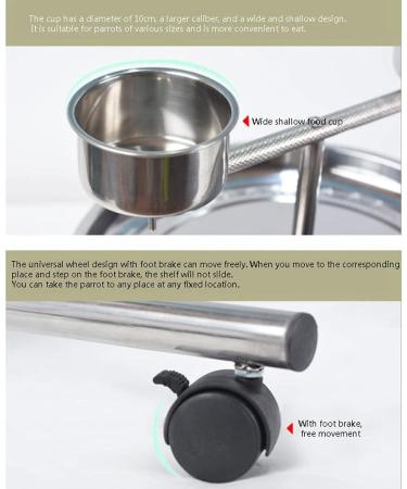 Cage Parrot Stand Stainless Steel Parrot Stand Disc Display Stand Macaw is Used for Medium and Large Parrots Canaries Love Birds Birdcages Decor (Size : Small) (Large) () - Buy Online on GoSupps.com