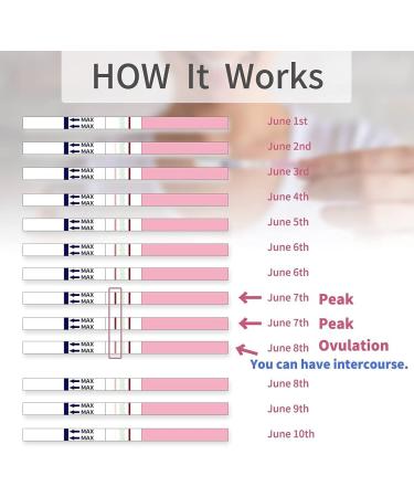DAVID 50 Ovulation Test Strips - Fertility Predictor Kit for Women - 50 Count LH Test - Accurate Results - Buy Online on GoSupps.com