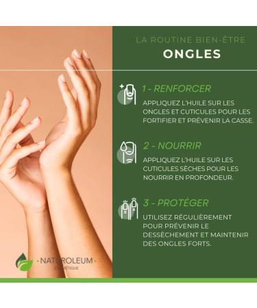 BEST ANTI-AGING OIL - Roll On 100% ORGANIC Pure & Natural Cold Pressed Extra Virgin PRICKLY PEAR SEED OIL - Nourishing Skin Face Hair Care Vegan (50 ml) - Buy Online on GoSupps.com