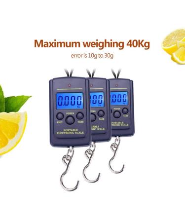 Digit Fishing Scale - 40 kg Hanging Digital Scale with Backlit LCD Display for Home & Outdoor Use | International Shipping Available - Buy Online on GoSupps.com