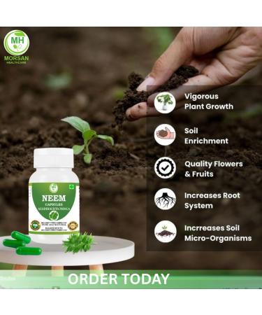 Morsan Healthcare Neem (Azadirachta Indica) Capsules - 500 mg 60 Veg Capsules | Pure Herbal Extract Non-GMO Gluten-Free Vegan No Additives | Organic Neem Supplement - Buy Online on GoSupps.com