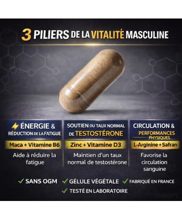 Testost 'Rock Booster Performance Homme | Soutien Taux de Testost rone & Musculation | nergie Vigueur & Vitalit | Maca Zinc Tribulus & Ashwagandha | 60 G lules Fabriqu en France - Buy Online on GoSupps.com