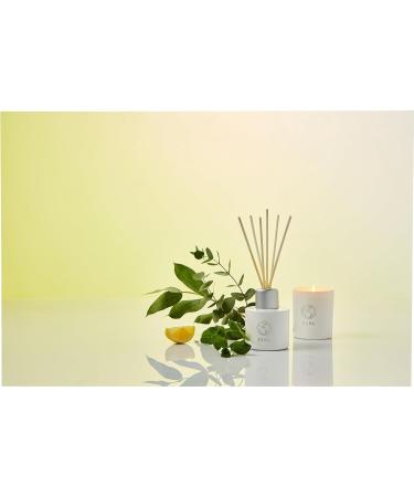 ESPA Energising Reed Diffuser 200ml | Refreshing Peppermint Eucalyptus & Rosemary | International Shipping Available - Buy Online on GoSupps.com