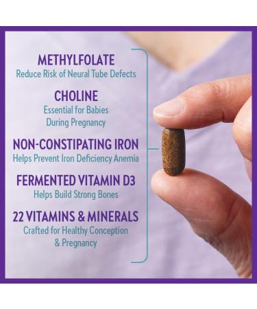 New Chapter Prenatal Vitamins Prenatal Multivitamin with Methylfolate + Choline for Healthy Mom Baby One Daily 60 Count 1 count (Pack of 90) - Buy Online on GoSupps.com