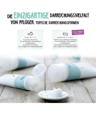 Pfl ger Sch ßler Salze No. 3 Ferrum Phosphoricum D12 - 400 Tablets | Gluten-Free Immune Support & Energy Boost - Buy Online on GoSupps.com