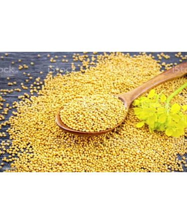 Farm Royale Yellow Mustard/Pili Sarso Whole & Kasuri Methi/kasoori fenugreek leaves-1+1 Combo-(200gm & 50gm)||100% Pure and Natural||Export Quality||Hand picked materrial - Buy Online on GoSupps.com