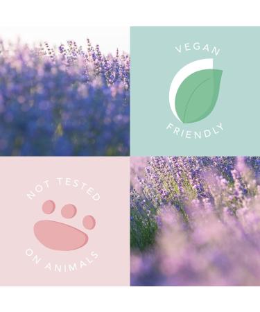 Sleep Easy Lavender Body Oil For All Over The Body Vegan and Cruelty-Free Lavender and Cedarwood 45ml Lavender & Cedarwood - Buy Online on GoSupps.com