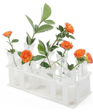 10-Pack 60ml Floral Tubes with Rack Holder for Milkweed Cuttings - Buy Online on GoSupps.com