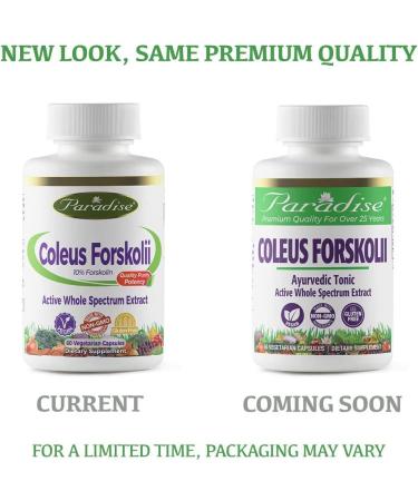 Buy Paradise Herbs Coleus Forskolin - 60 Vegetarian Capsules for Weight Loss & Wellness - Buy Online on GoSupps.com