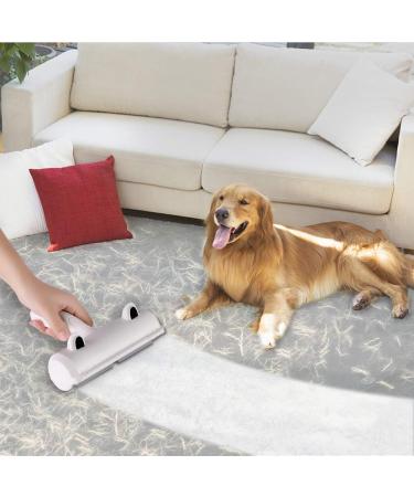 Pet Hair Remover Roller - YOUTHINK Lint Roller Remover Brush Tool for Removing Dog&Cat Hair from Furniture Carpets Bedding Sofa Clothing and More(Blue-White) - Buy Online on GoSupps.com