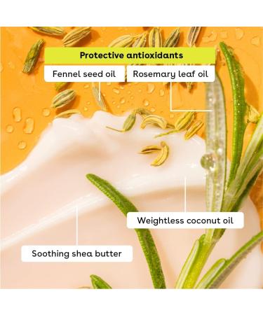 eos 100% Natural & Organic Lip Balm Stick Strawberry Sorbet All-Day Moisture Made for Sensitive Skin 4g 2-Pack Strawberry Sorbet 4 g (Pack of 2) - Buy Online on GoSupps.com