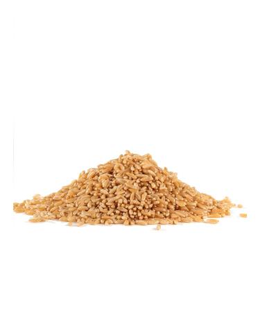 Organic Kamut Khorasan Wheat Berries - 24 oz Pack | Nutritious Whole Grain Superfood - Buy Online on GoSupps.com