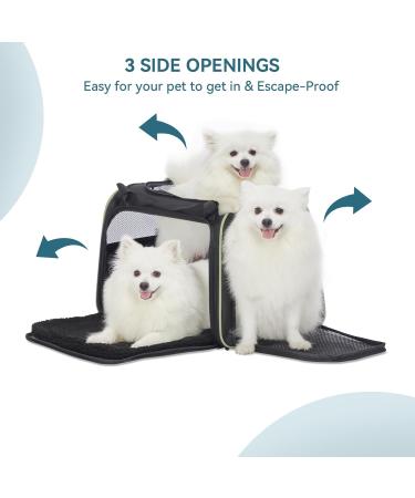 Petsfit TransportBox - Cat & Dog Carrying Bag with Shoulder Strap & Expandable Bed Inlay | Travel Bag for Dogs & Cats (Large/Black) - Buy Online on GoSupps.com