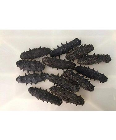WENXUANSU: 2 Pound (908 grams) Dried seafood large-sized cuttlefish from South China Sea