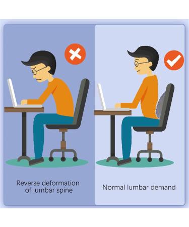 DEHNER Multi-Level Adjustable Spinal Board - Gray | Relief for Lower Back & Neck Pain - Refresh & Rejuvenate - Buy Online on GoSupps.com